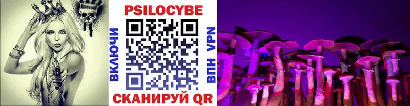 Галлюциногенные грибы Psilocybine cubensis KRAKEN вход Кушва